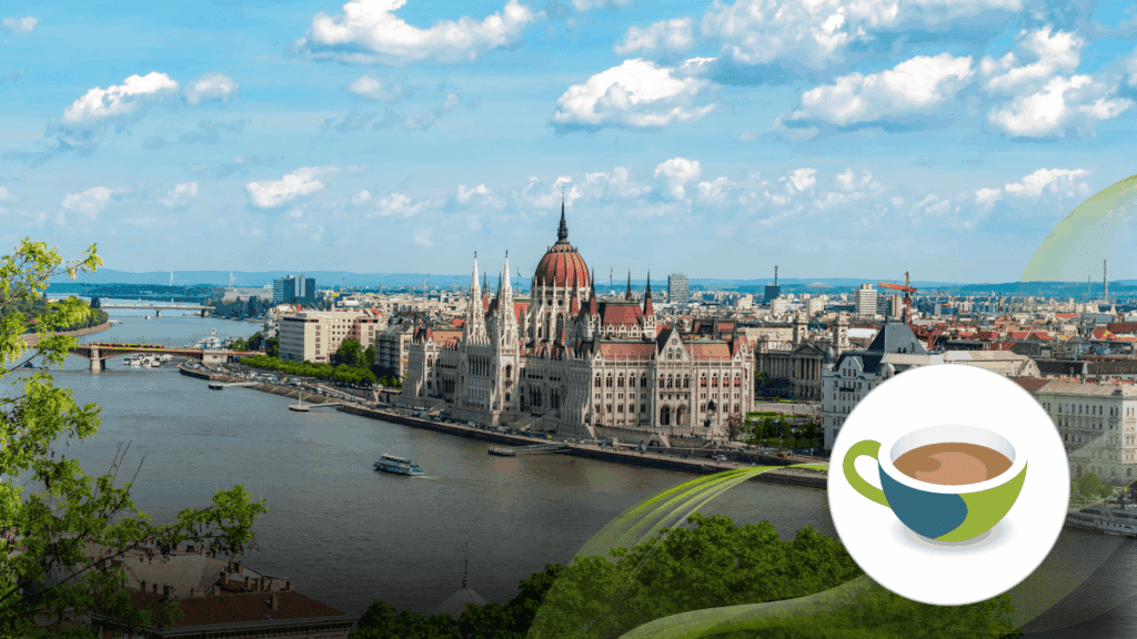 Hungarian city landscape